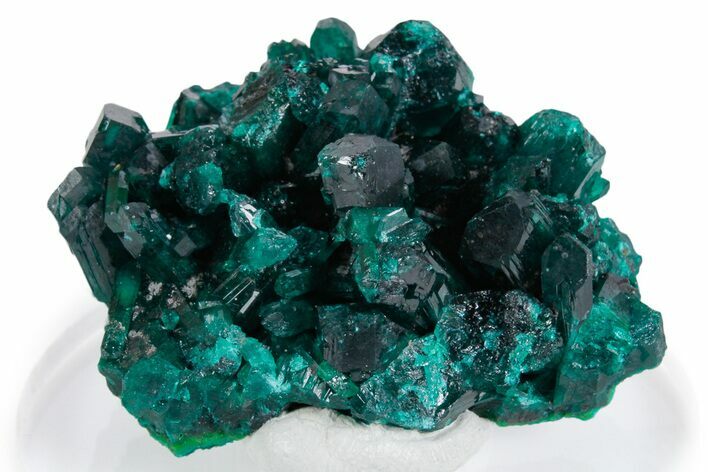 Lustrous Dioptase Crystal Cluster - Congo #348541